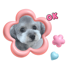 michiko_20240712194338
