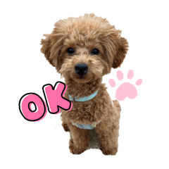 anryu_20240712234311