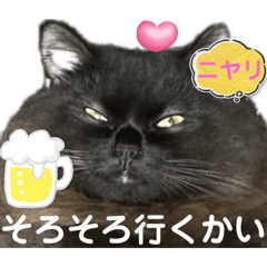 黒猫 ルナ院長152にゃんめ