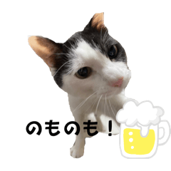 Ginnya_20240713075828