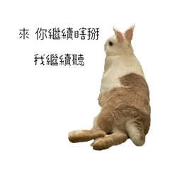 兔ㄗˇ替你說