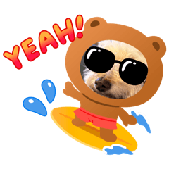 yushiki_20240713144741