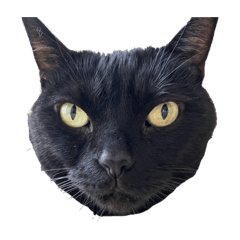 hinairoha_20240713230007