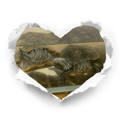 Isa_20240714135236 – LINE stickers | LINE STORE