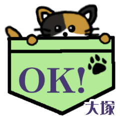 Ootsuka's Pocket Cat's  [2]