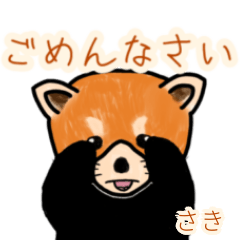 Saki's lesser panda