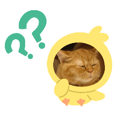 萌寵謎之日記