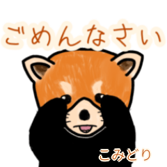 Komidori's lesser panda