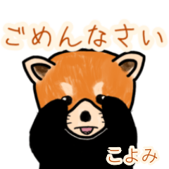 Koyomi's lesser panda