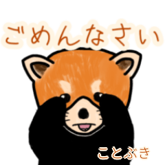 Kotobuki's lesser panda