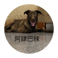 嘎逼的貼圖
