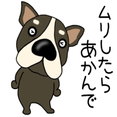 【関西弁】鼻でか犬　ぶる犬3