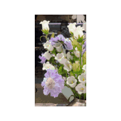 poorin_20240715093025