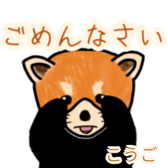 Kougo's lesser panda