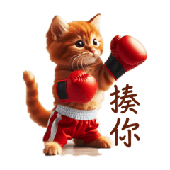 Fighter meow 2