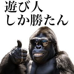 [Asobinin] Funny Gorilla stamps to send