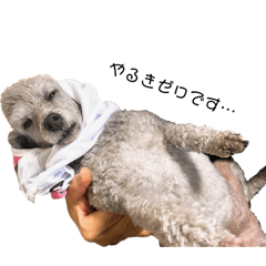 poodle_stamp