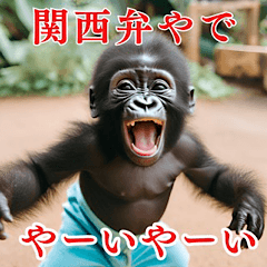 Sarcastic Gorilla