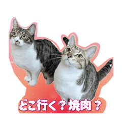 nigami_20240713233245