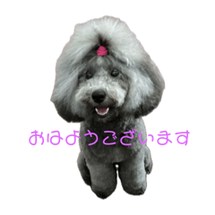 cielmama_20240714103353