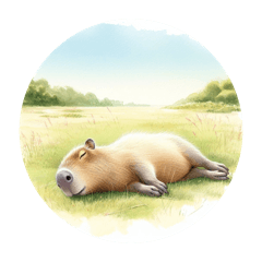 Live it up! The cozy life of capybaras