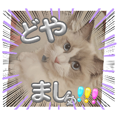 HIROICHIGO_20240714145030