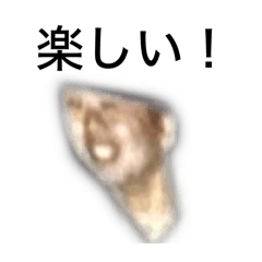 chango_20240714111538