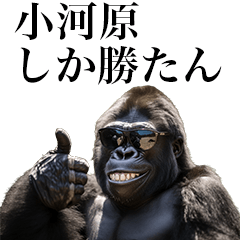 [Ogawara] Funny Gorilla stamps to send