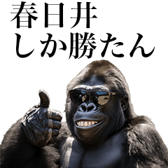 [Kasugai] Funny Gorilla stamps to send