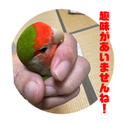 Itoyay_20240714134926