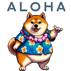 Hawaii Shiba dog