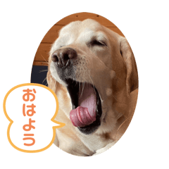 hinamomo_20240714200512