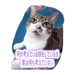 nigami_20240714182409