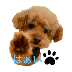 Sayamoco_20240714190414