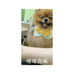 萊恩恩日常