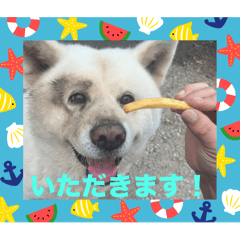 Abcdefg_20240715003040