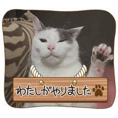 ねこでダラダラ言わせて