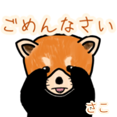 Sako's lesser panda