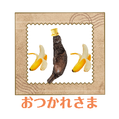 sakurako_20240715190646