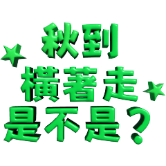 3D超大字(你傻啊、誰稀罕、齁過分)綠