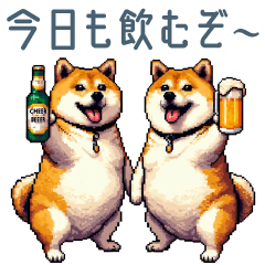 drinking with friends shiba dog