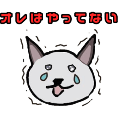 cream_20240716003447