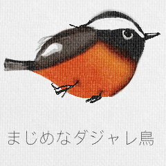 For bird lover