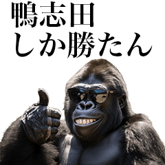 [Kamoshida] Funny Gorilla stamps to send