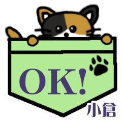 Ogura's Pocket Cat's  [4]