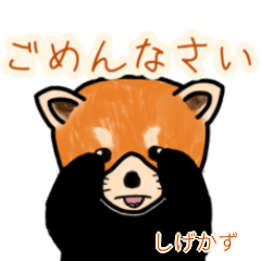 Shigekazu's lesser panda