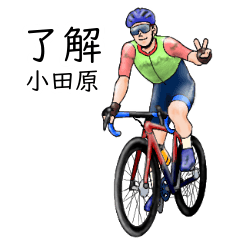 Odawara's realistic bicycle