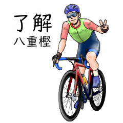 Yaegashi's realistic bicycle