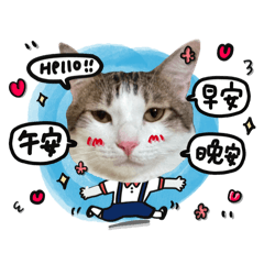 咪咪&橘寶日常♡