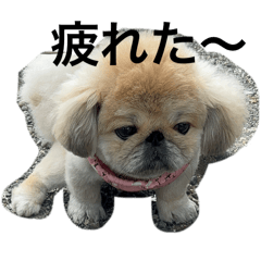 LeonMama_20240716190123